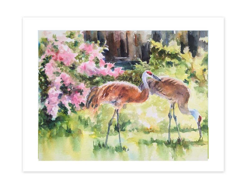 "Sandhill Cranes" | 14”x11” original watercolor painting Nature Inspired Fine Art