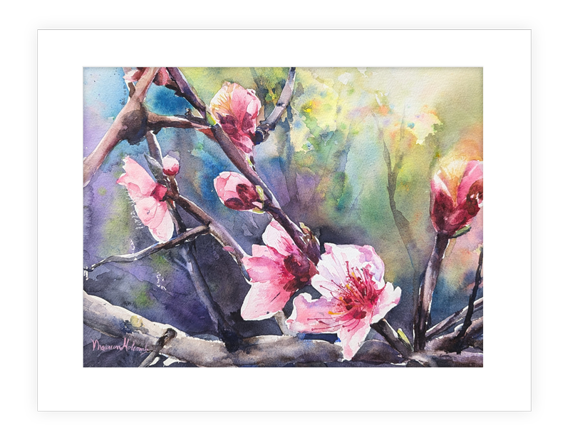 "Unfurled" | 14”x11” original watercolor painting of Cherry Blossoms