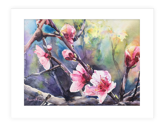"Unfurled" | 14”x11” original watercolor painting of Cherry Blossoms