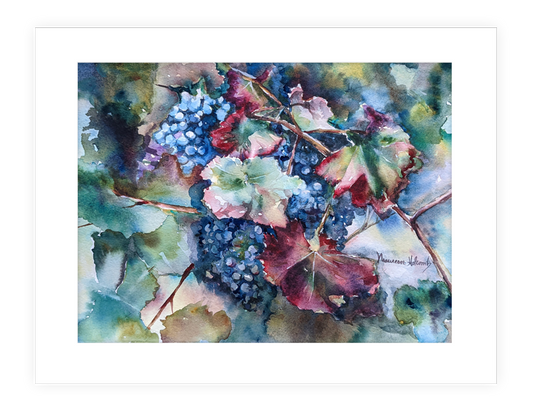 “Merlot,” | 14”x11” watercolor painting of Merlot grapes