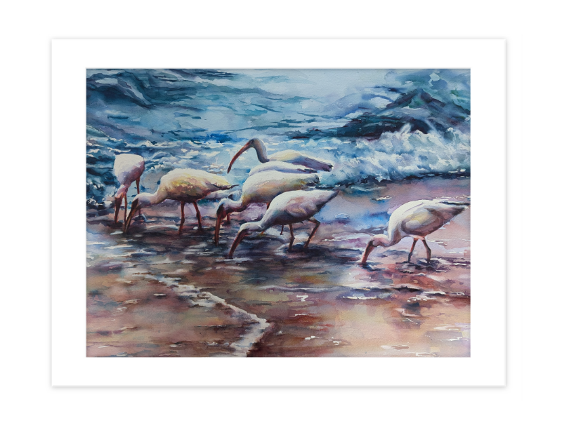 "Elegant Foragers: white Ibis in the  Foam" |20"x26” original watercolor painting beautiful Florida birds in the ocean waves