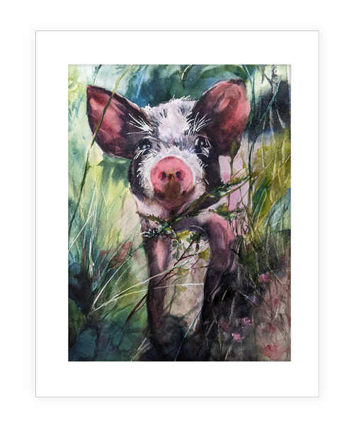 "Some Pig 2" 11"x14" watercolor painting of a pig