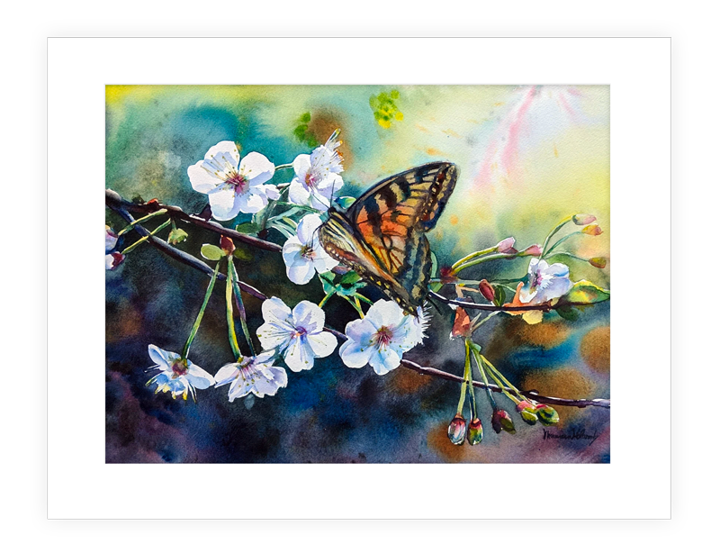 "Renewal" | 20”X14” watercolor painting of monarch butterfly in cherry blossoms