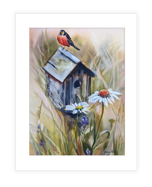 "The Spring House" | 20”X14” watercolor painting of robin on top of birdhouse